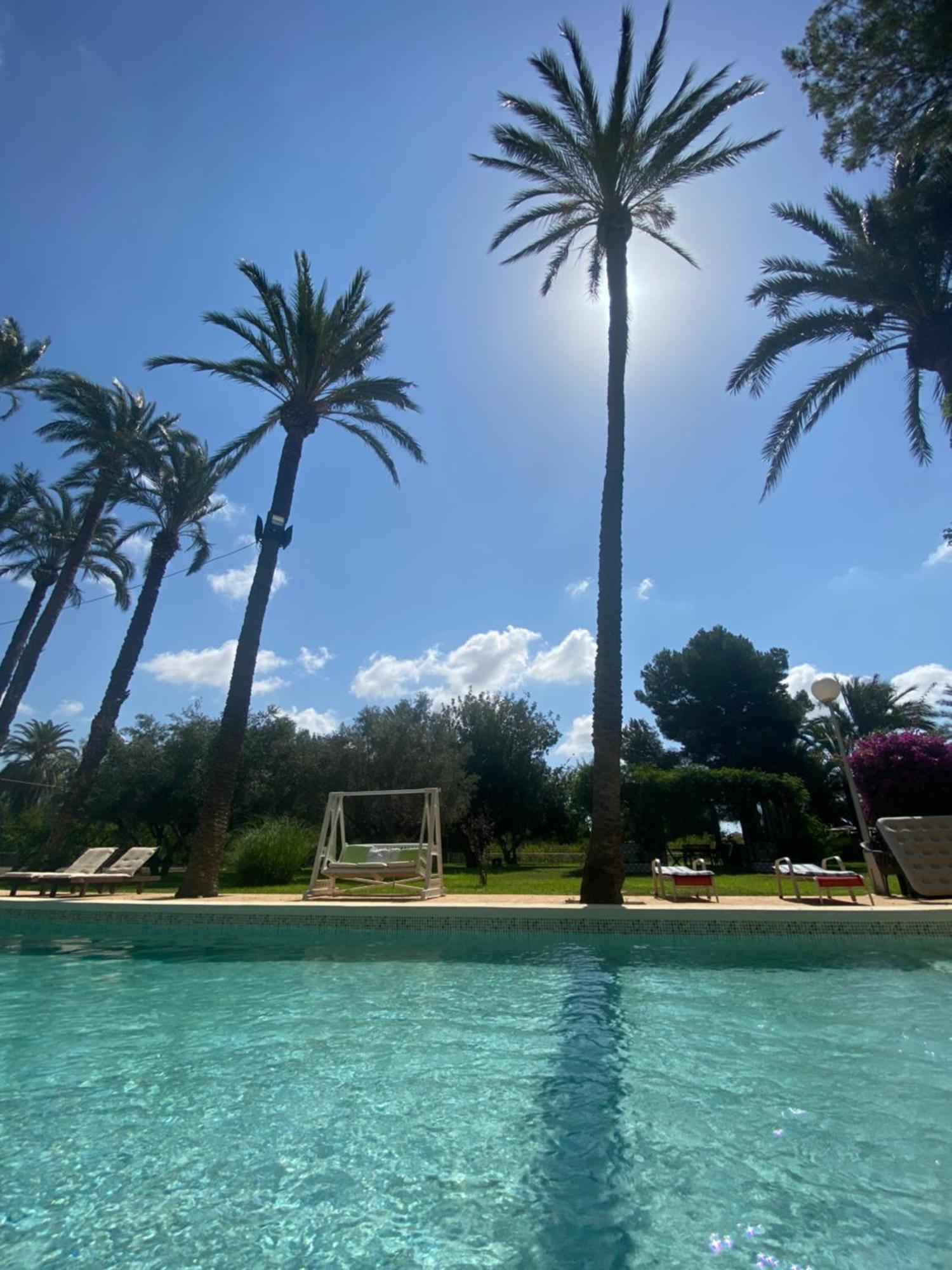 Bed and Breakfast Pink Lemon House Elche Exterior foto