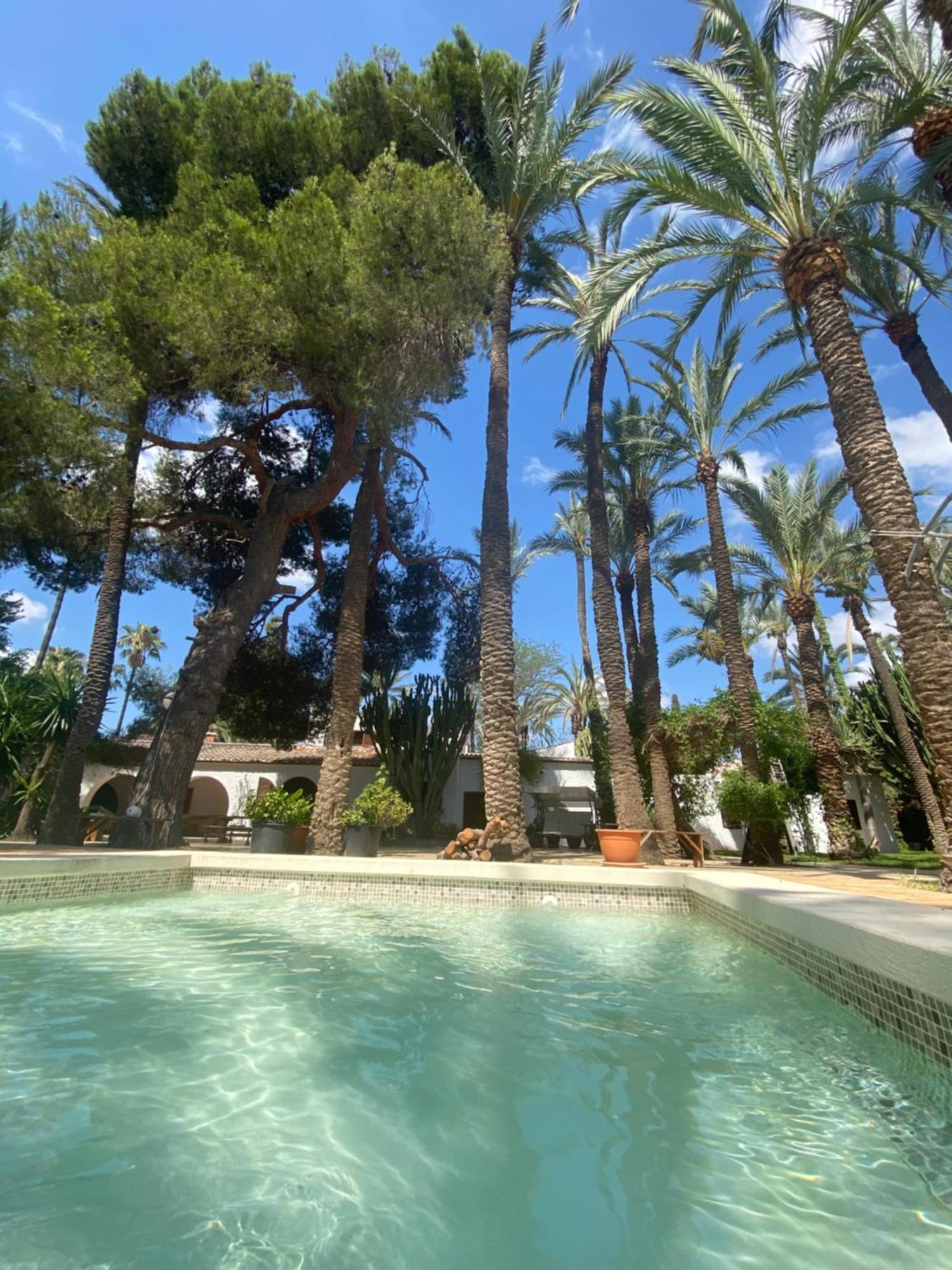 Bed and Breakfast Pink Lemon House Elche Exterior foto