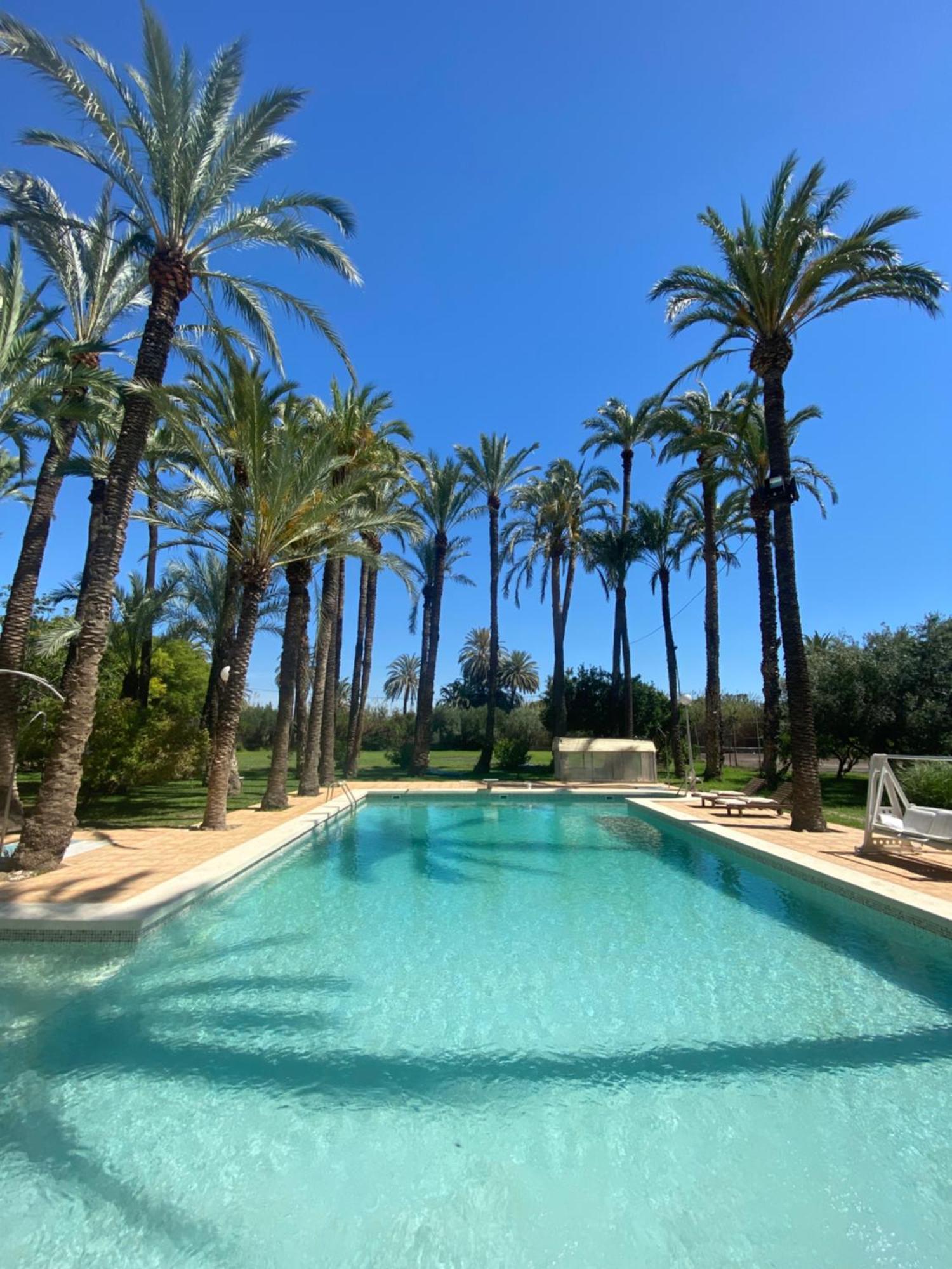 Bed and Breakfast Pink Lemon House Elche Exterior foto