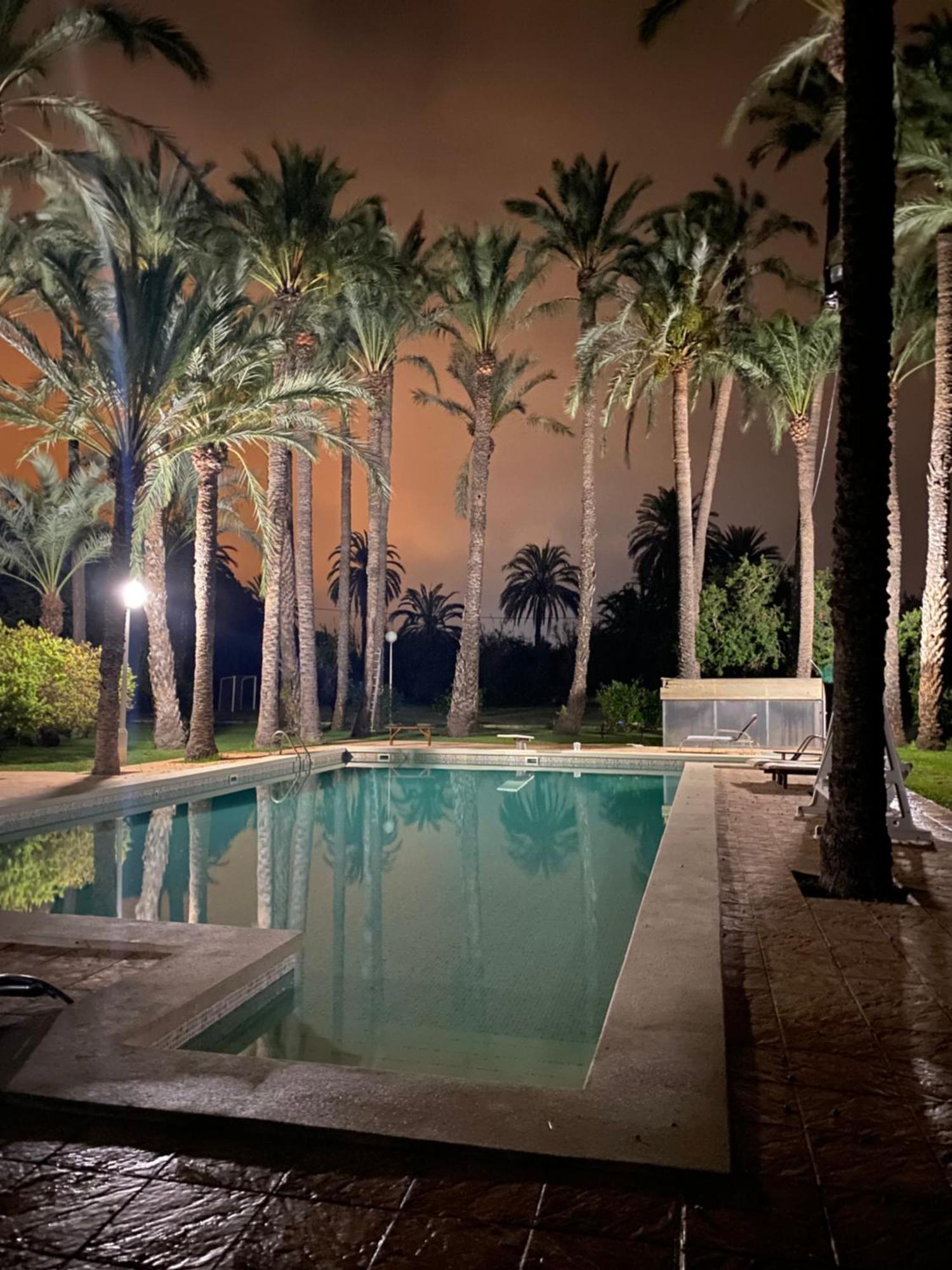 Bed and Breakfast Pink Lemon House Elche Exterior foto