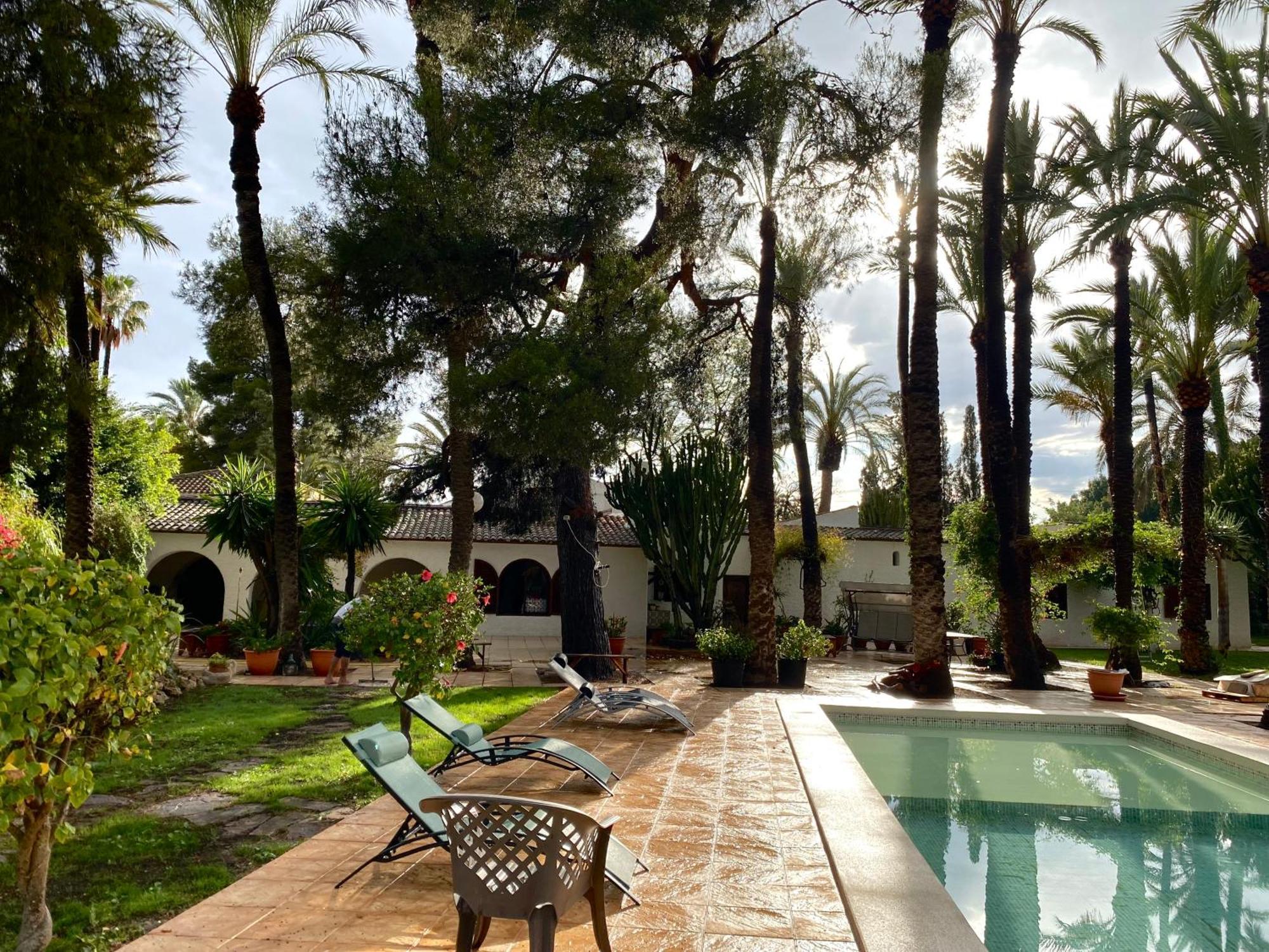Bed and Breakfast Pink Lemon House Elche Exterior foto
