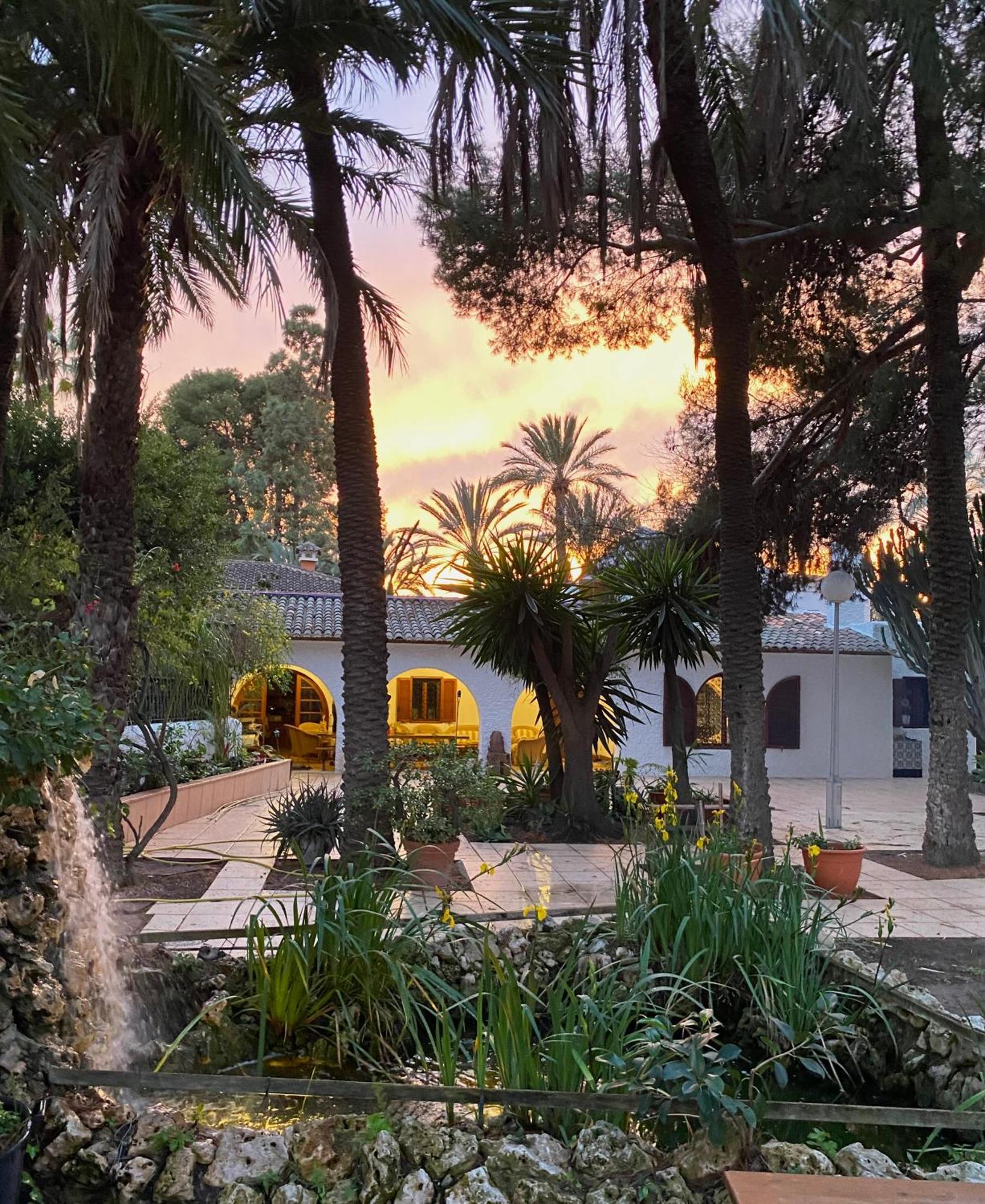Bed and Breakfast Pink Lemon House Elche Exterior foto