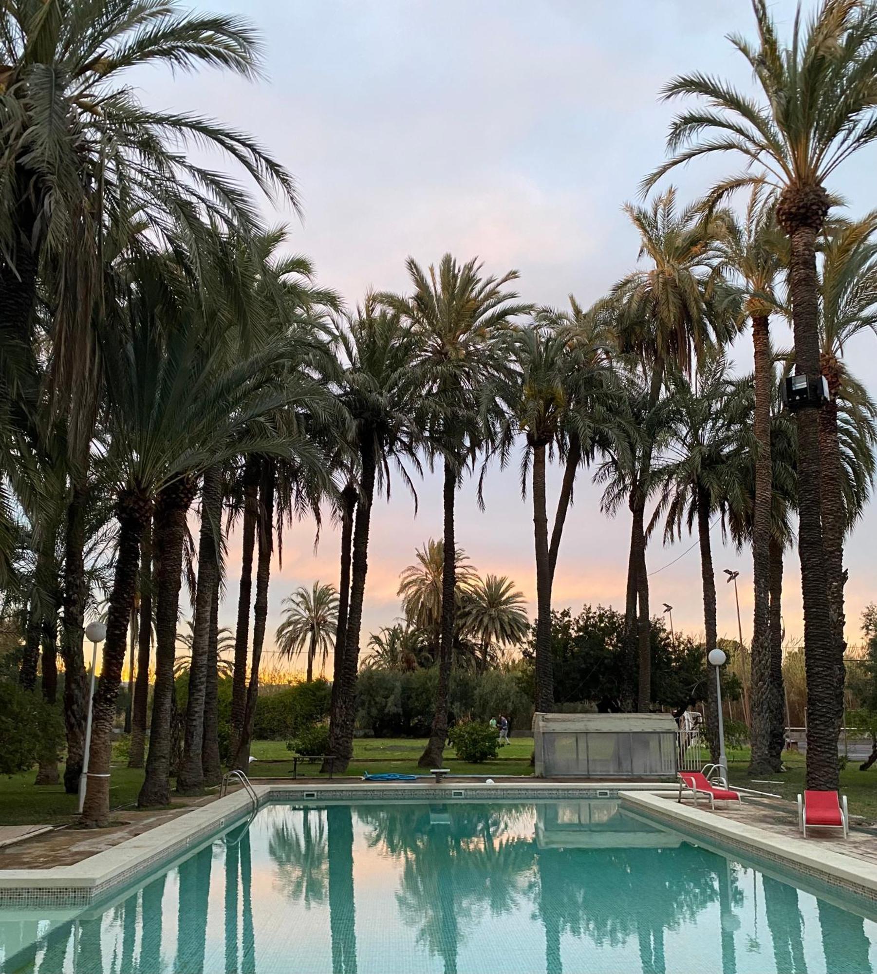 Bed and Breakfast Pink Lemon House Elche Exterior foto