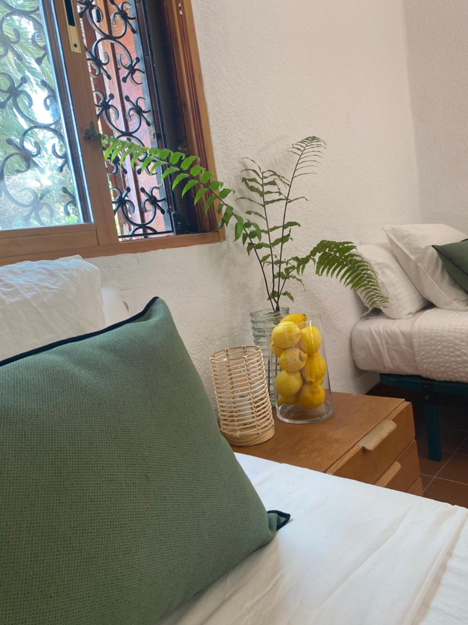 Bed and Breakfast Pink Lemon House Elche Exterior foto
