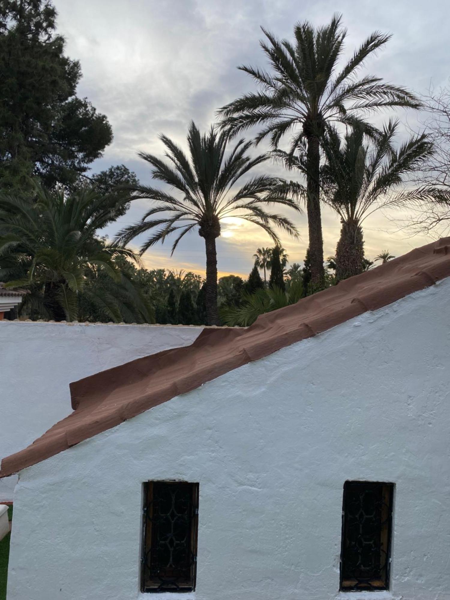 Bed and Breakfast Pink Lemon House Elche Exterior foto