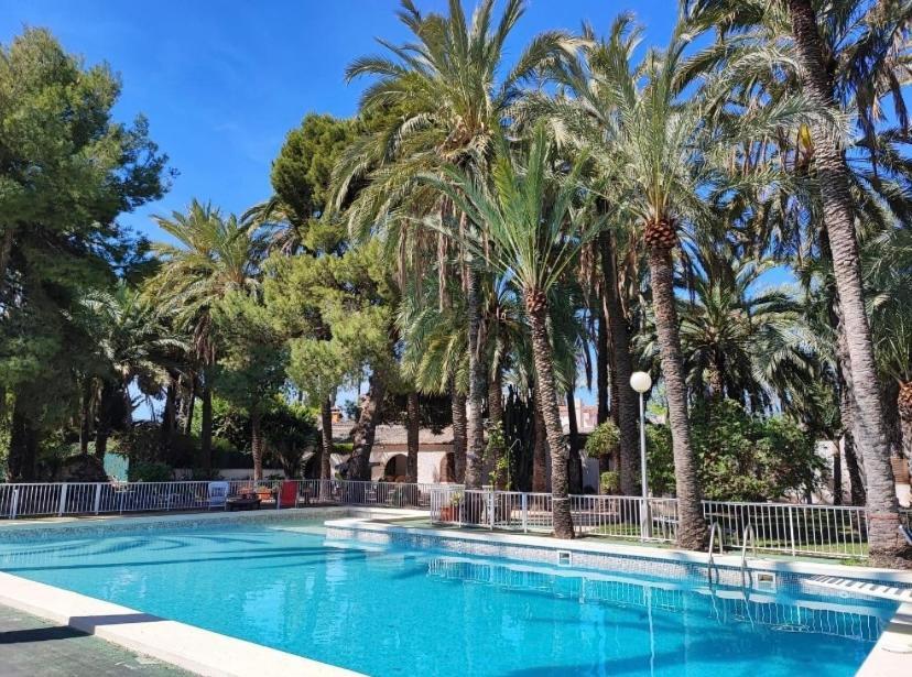 Bed and Breakfast Pink Lemon House Elche Exterior foto