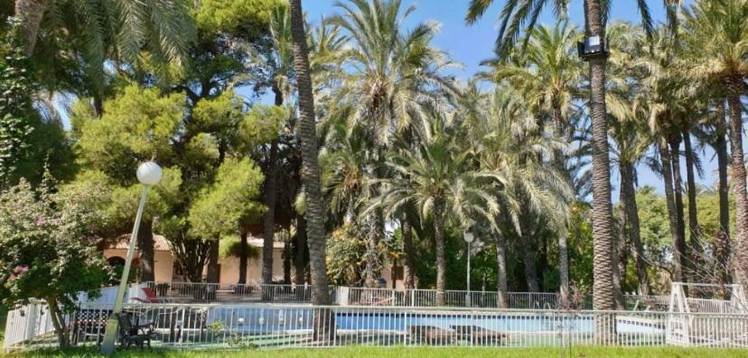 Bed and Breakfast Pink Lemon House Elche Exterior foto
