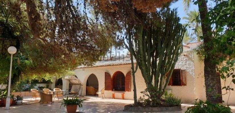 Bed and Breakfast Pink Lemon House Elche Exterior foto