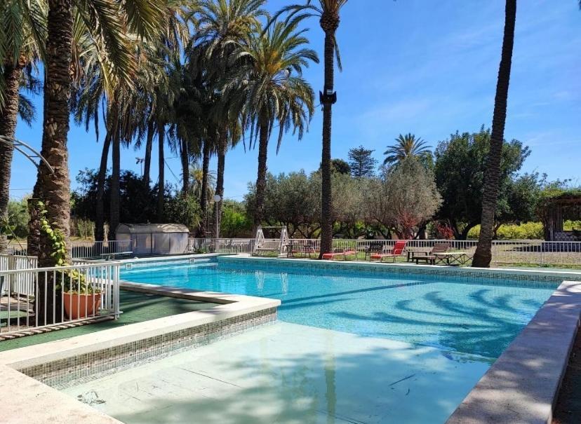 Bed and Breakfast Pink Lemon House Elche Exterior foto